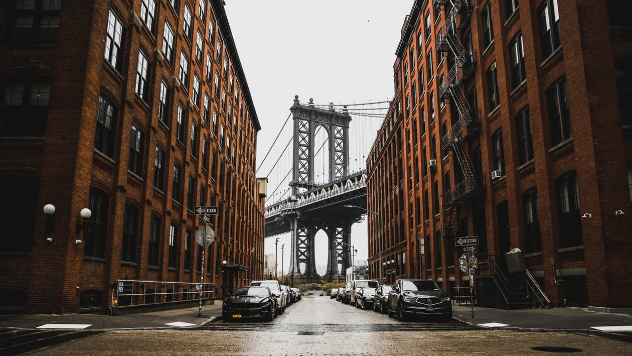 A tree-lined city street